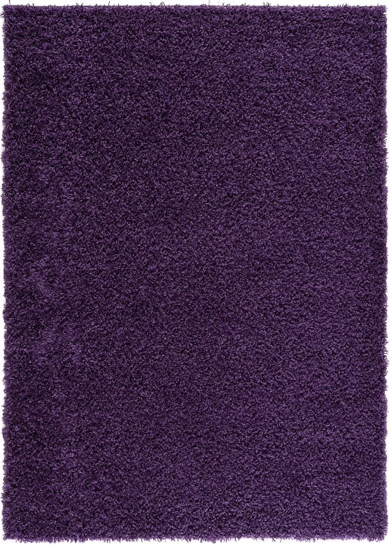 UPC 810024223657 product image for BW725Z57  Lyra Purple Shag 5&' x 7&' Rug | upcitemdb.com
