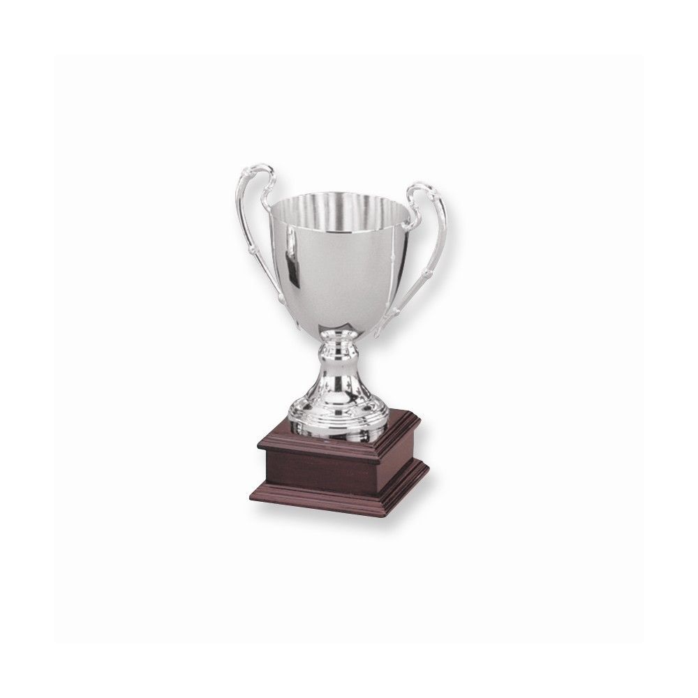 91303 10 In. Trophy With Base