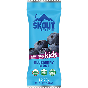 526027 Kids Blueberry Real Food Bar