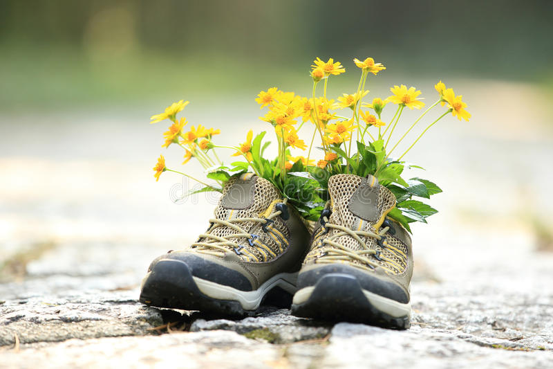 UPC 017247027172 product image for 470220 Hiking Boot with Flowers | upcitemdb.com