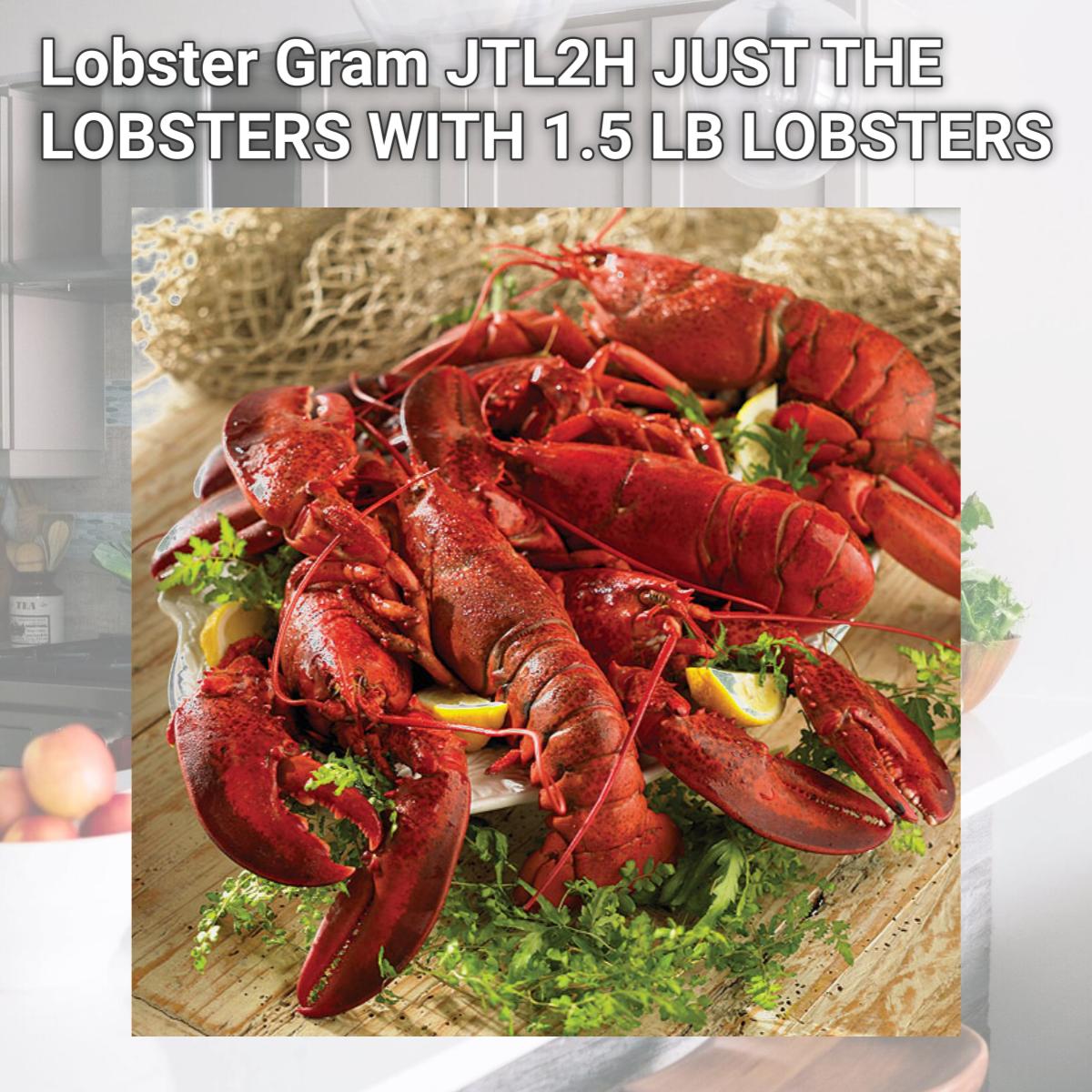 Picture of Lobster Gram JTL2H JUST THE LOBSTERS WITH 1.5 LB LOBSTERS
