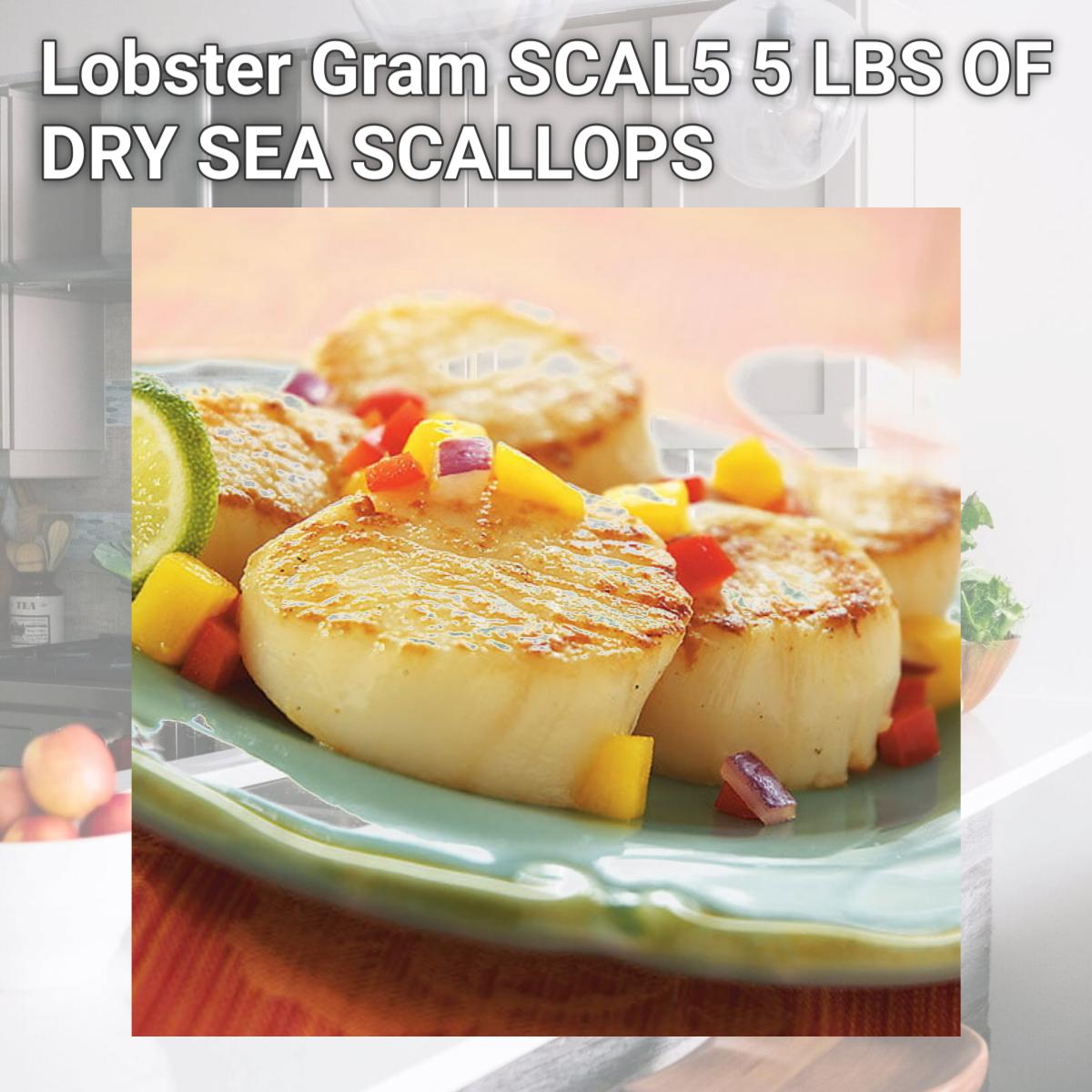 Picture of Lobster Gram SCAL5 5 LBS OF DRY SEA SCALLOPS