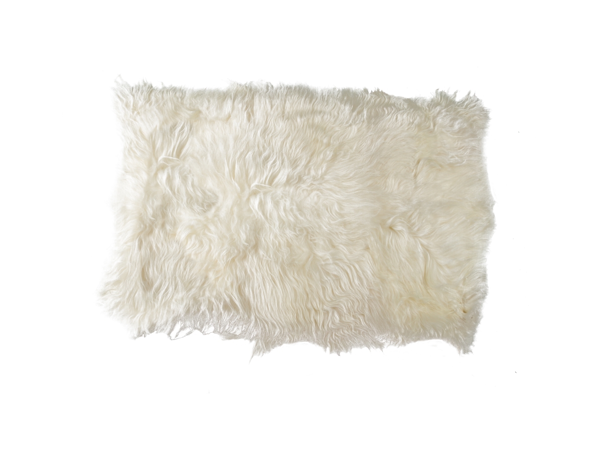 676685026484 4 X 6 Ft. Icelandic Sheepskin Long-haired Rug - White