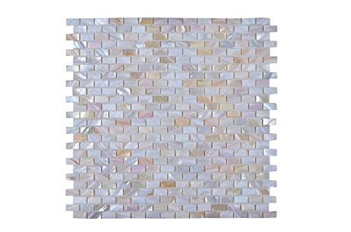 Mosaic With Seashell