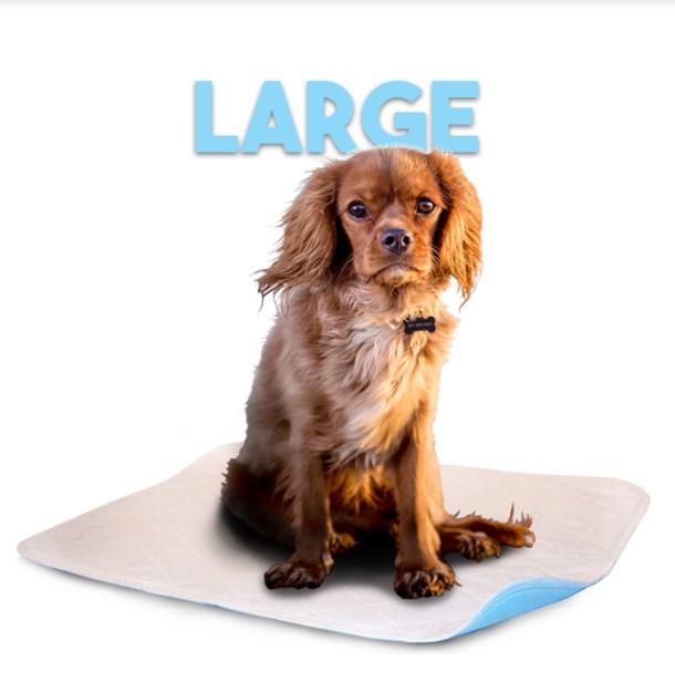 2327lp 23 X 27 In. Large Washable Pet Pad - White