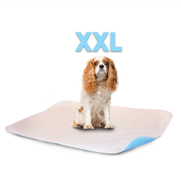 3636lp 36 X 36 In. 2xl Washable Pet Pad - White