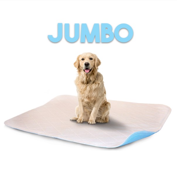 4848lp 48 X 48 In. Jumbo Washable Pet Pad - White