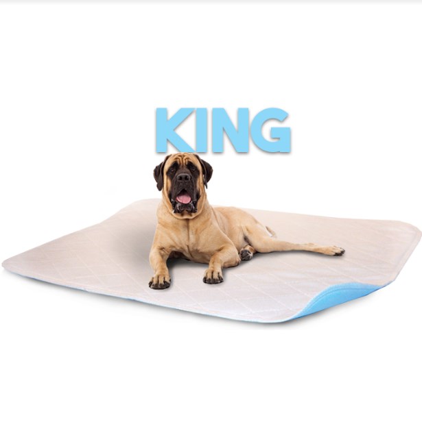 4872lp 48 X 72 In. King Size Washable Pet Pad - White