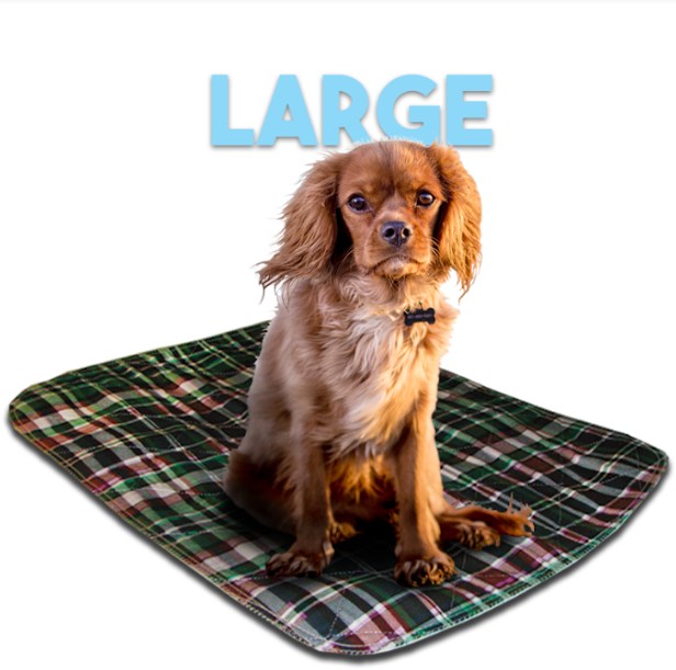 2327lpg 23 X 27 In. Large Washable Pet Pad - Green Plaid