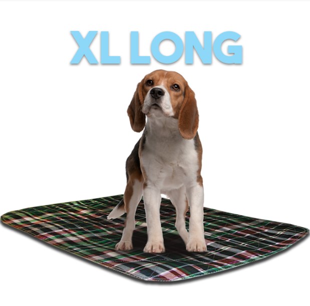 2436lpg 24 X 36 In. Extra Large Washable Pet Pad - Green Plaid