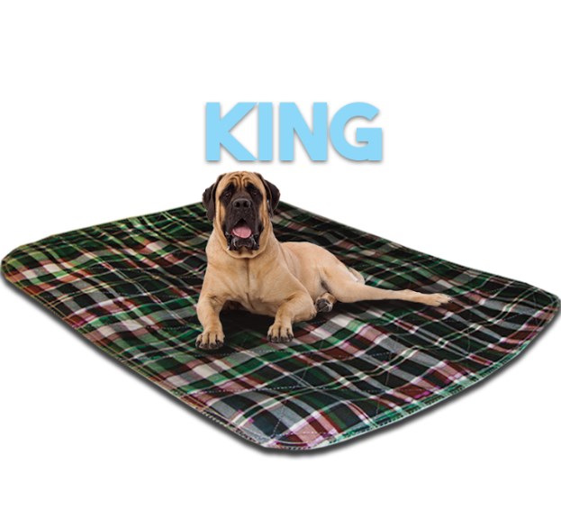 4872lpg 48 X 72 In. King Size Washable Pet Pad - Green Plaid