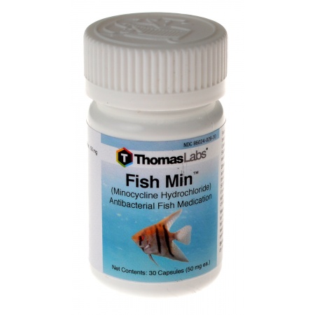 UPC 725068000297 product image for Thomas Labs 00-0028-T01 Fish Min - Minocycline Hyclate 30 Count | upcitemdb.com