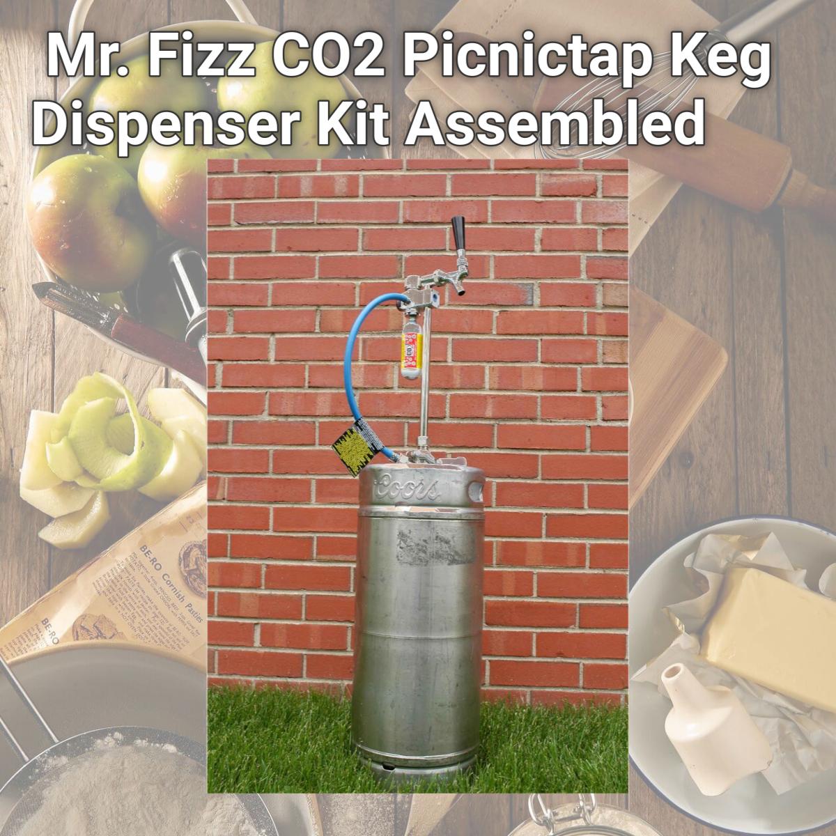 Picture of Leland Mr. Fizz CO2 Picnictap Keg Dispenser Kit Assembled