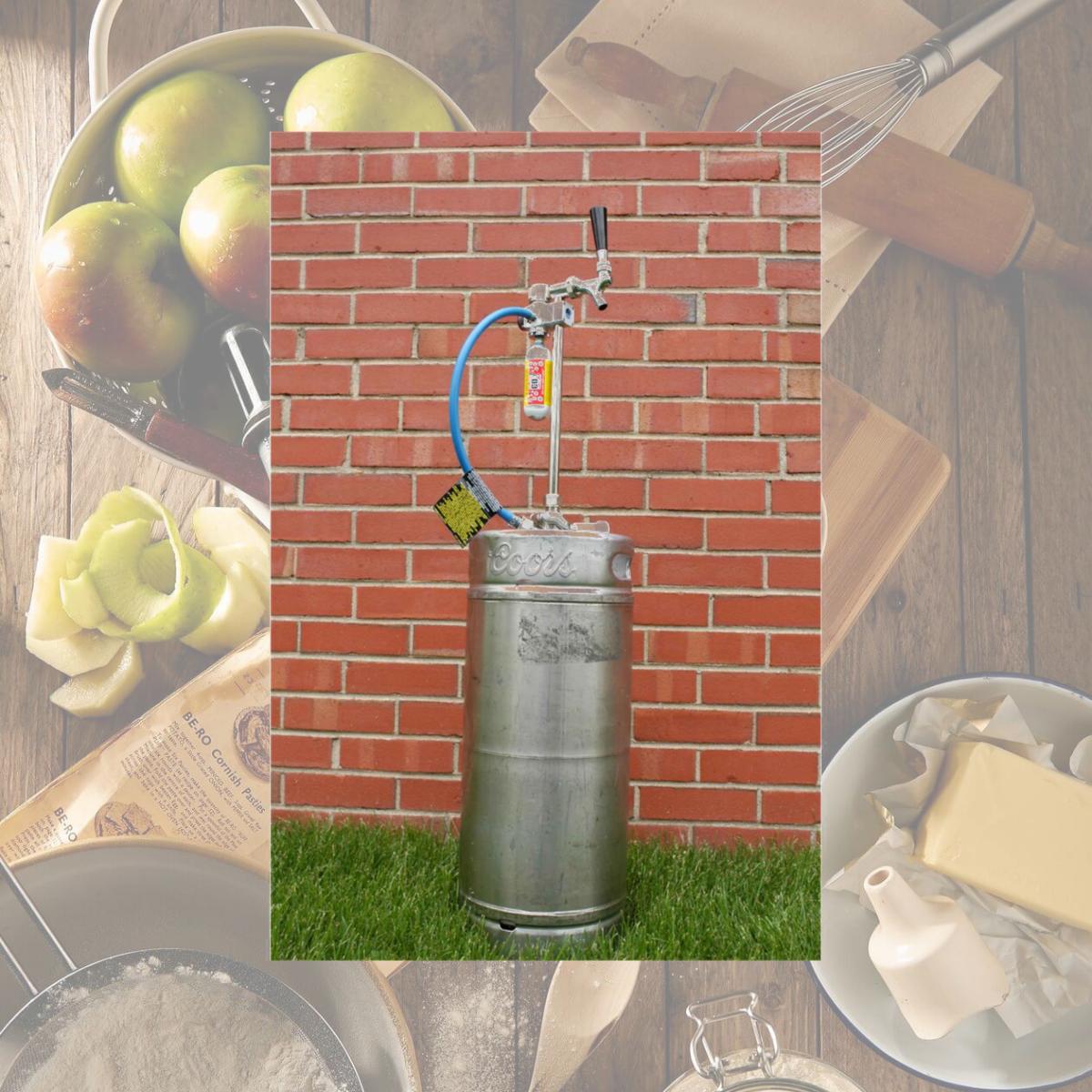 Picture of Leland Mr. Fizz CO2 Picnictap Keg Dispenser Kit Assembled
