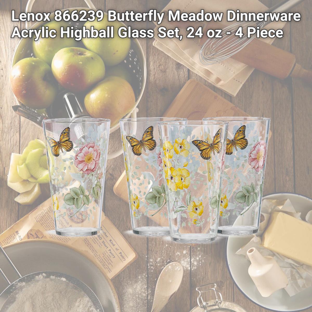 Picture of Lenox 866239 Butterfly Meadow Dinnerware Acrylic Highball Glass Set, 24 oz - 4 Piece