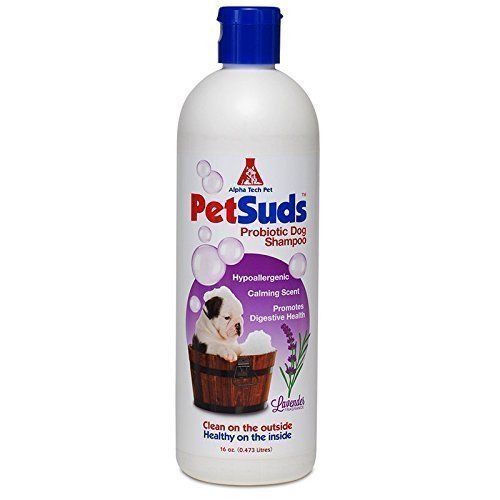 5700 16 Oz Probiotic Dog Shampoo