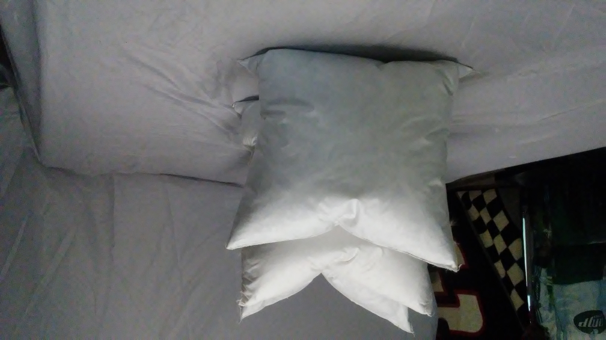 16x1619dd 16 X 16 In. Pillow Form, 10-90 Duck Down