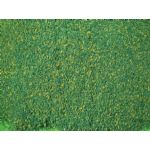 12 X 50 In. Blended Mat With Green Grass Model