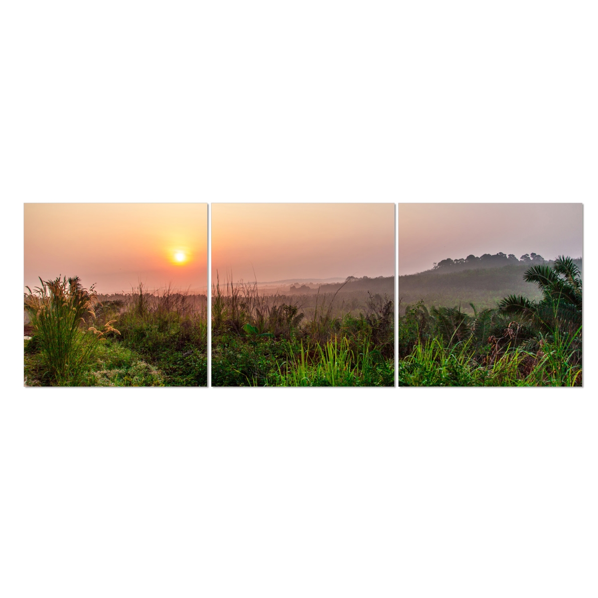 F4abds40 48 X 16 In. Seni Dawn Scenery 3-panel Mdf Framed Photography Triptych Print