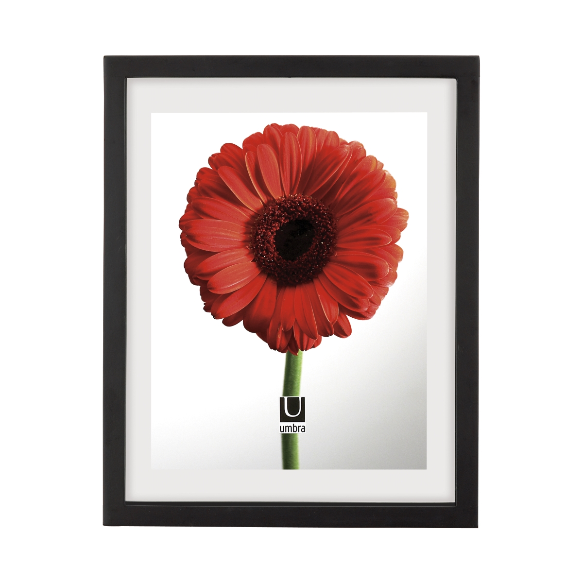 316280-040 11 X 14 In. Modern Document Picture Frame Designed To Display A Floating 8.5 X 11 In. Photo Or Artwork - Black