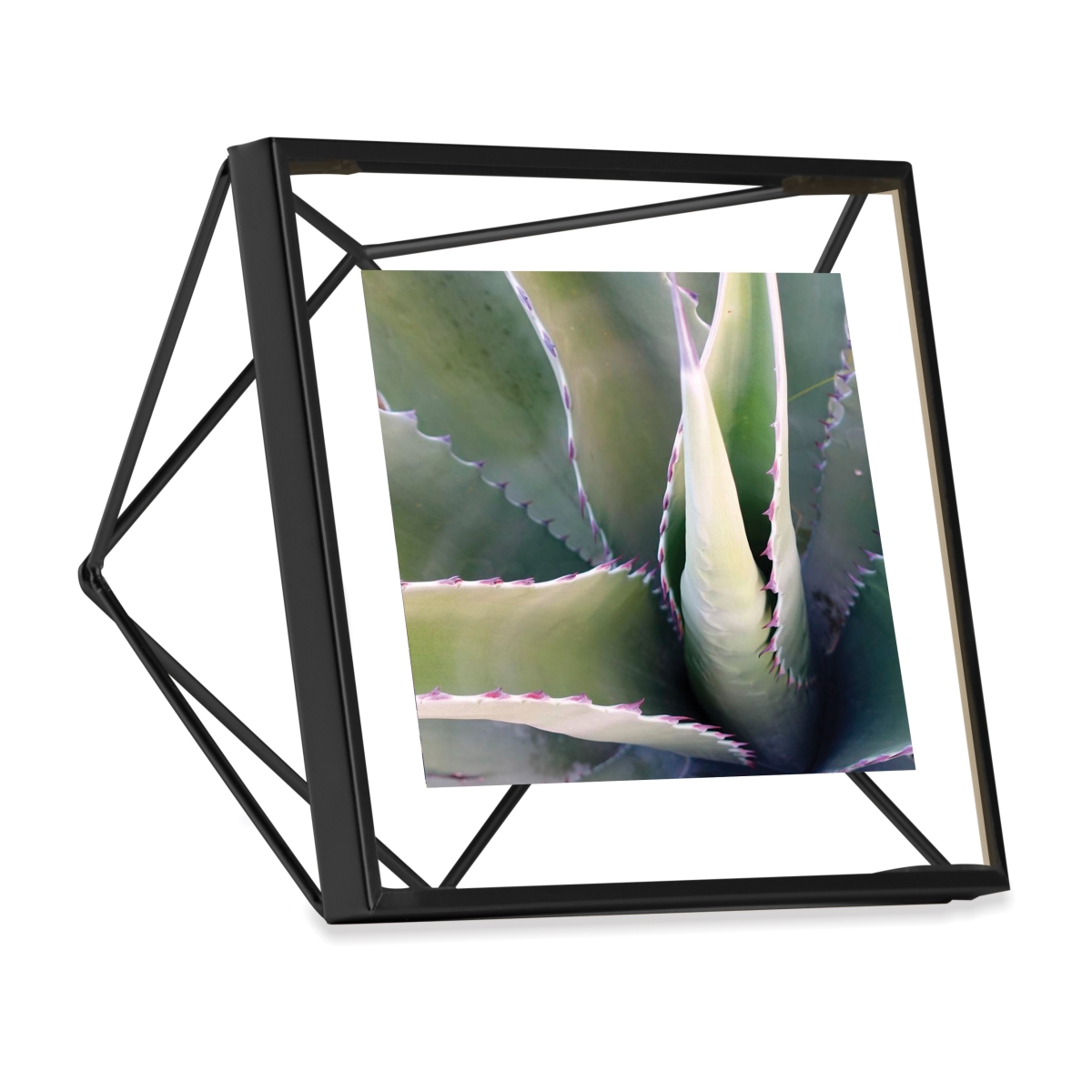 313017-040 4 X 4 In. Prisma Picture Frame Floating Wall Or Desk Photo Display - Black