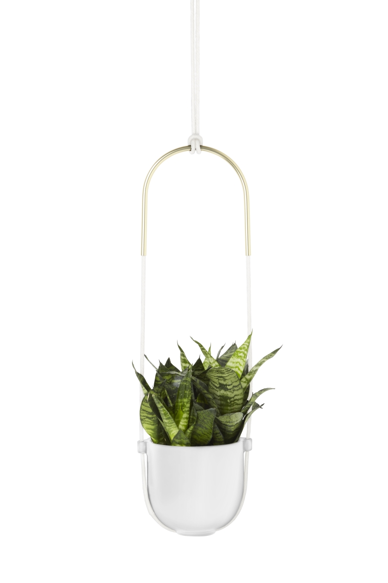 1009571-660 Bolo Hanging Planter For Succulents & Other Small Plants, White