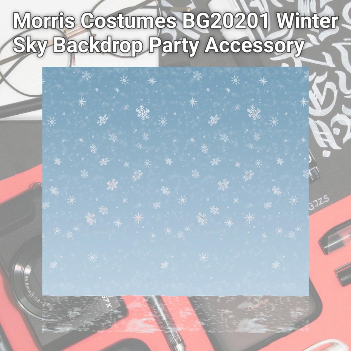 Picture of Morris Costumes BG20201 Winter Sky Backdrop Party Accessory