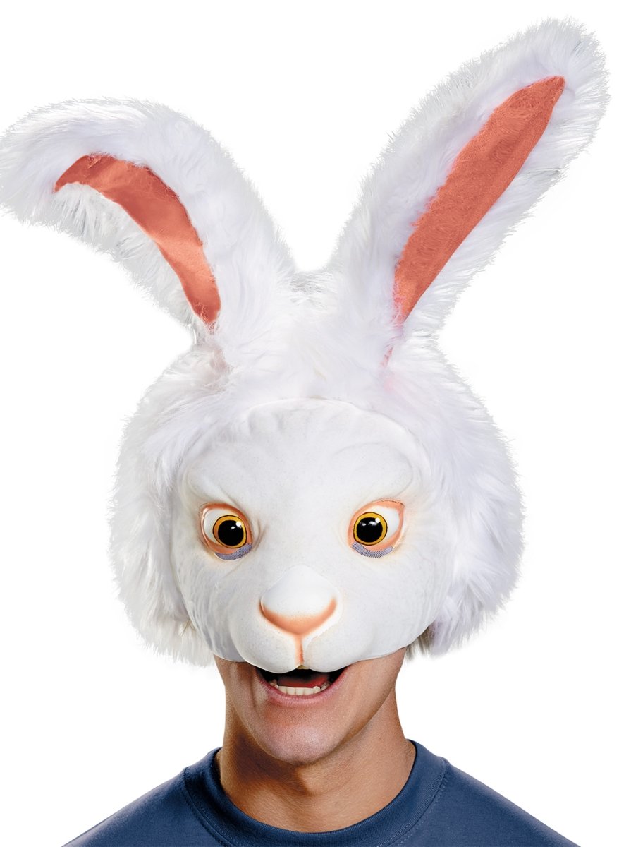 Dg10228 White Rabbit Headpiece Adult Costume