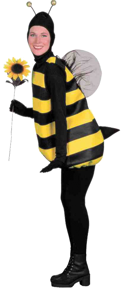 Fm54122 Bumble Bee Adult Costume