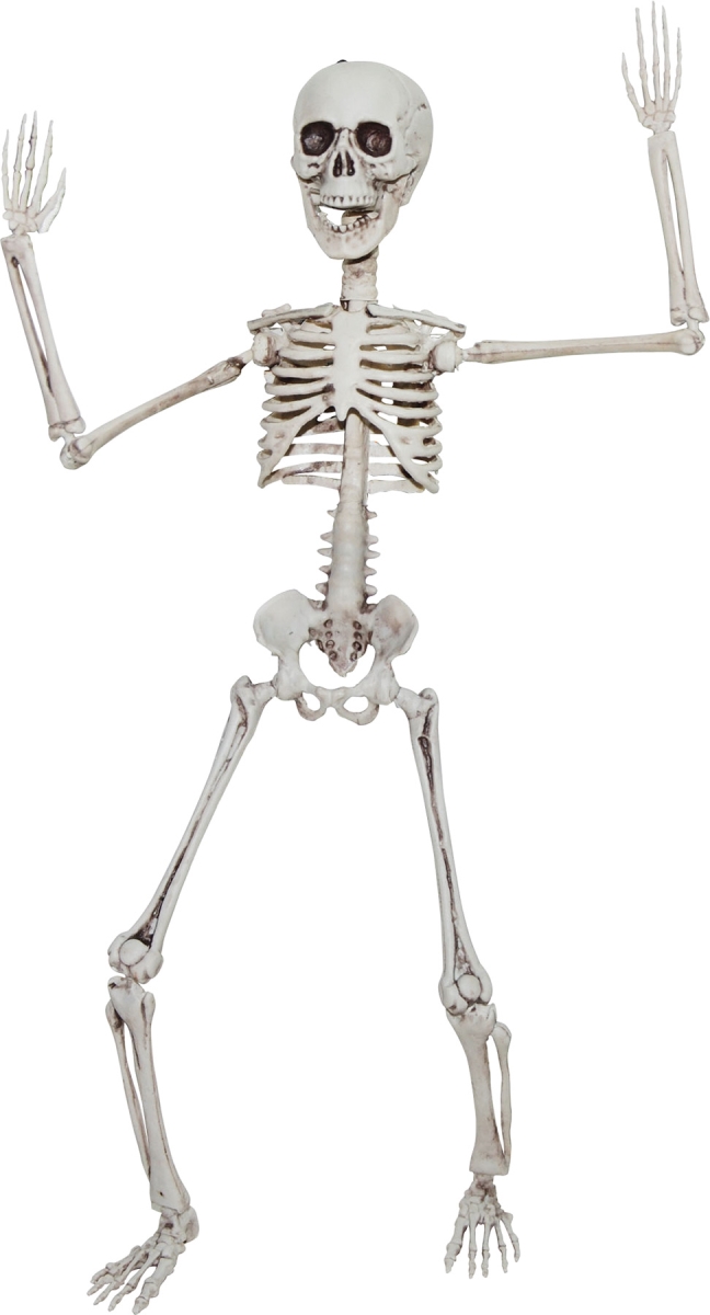 Ss89504 20 In. Poseable Skeleton Costume