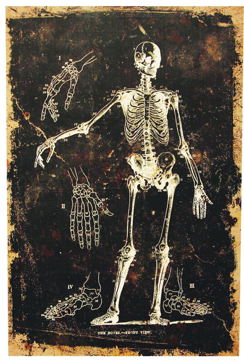 Ss72860 Skeleton Canvas Without Frame Costume