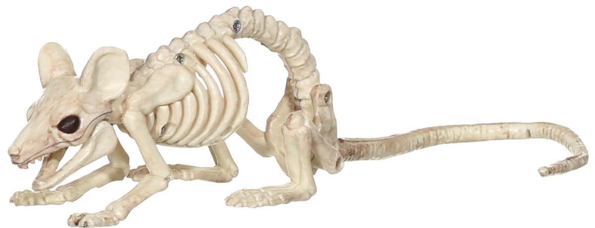 Morris Sez28340 Mouse Crawling Skeleton Halloween Decoration, Natural Bone