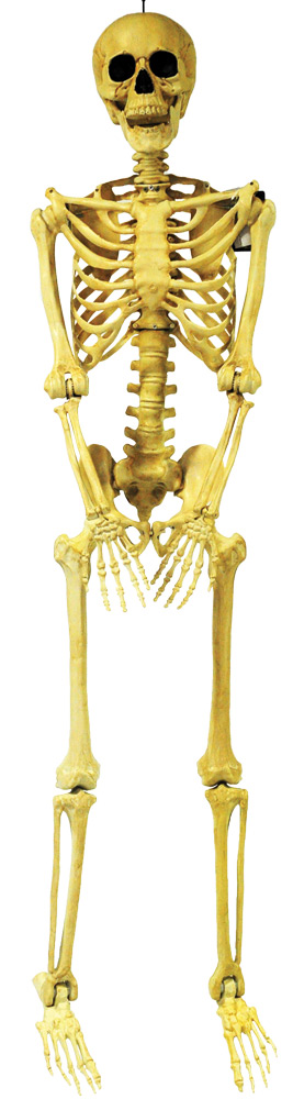 Ss39287 Skeleton Pose & Hold Decoration