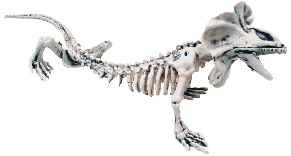 Ss75272 16 In. Skeleton Lizard Decoration