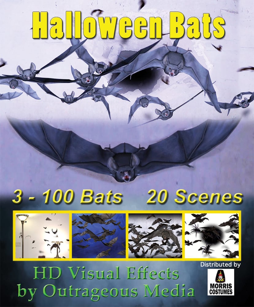 Rv205 Halloween Bats Digital Decor