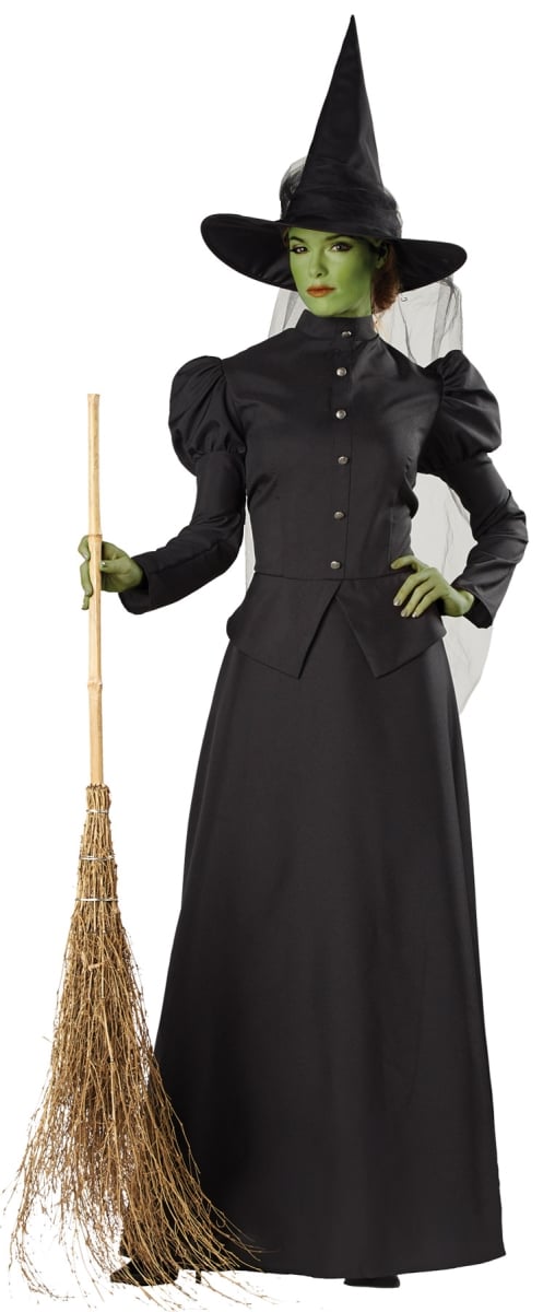 Women Witch Classic Deluxe Adult Costume, 2xl