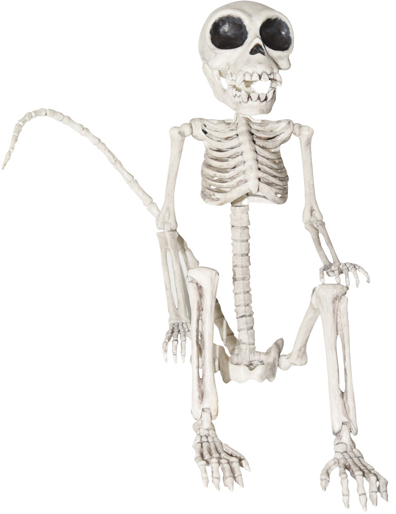 UPC 762543791684 product image for SS79168 23 in. Unique Monkey Skeleton | upcitemdb.com