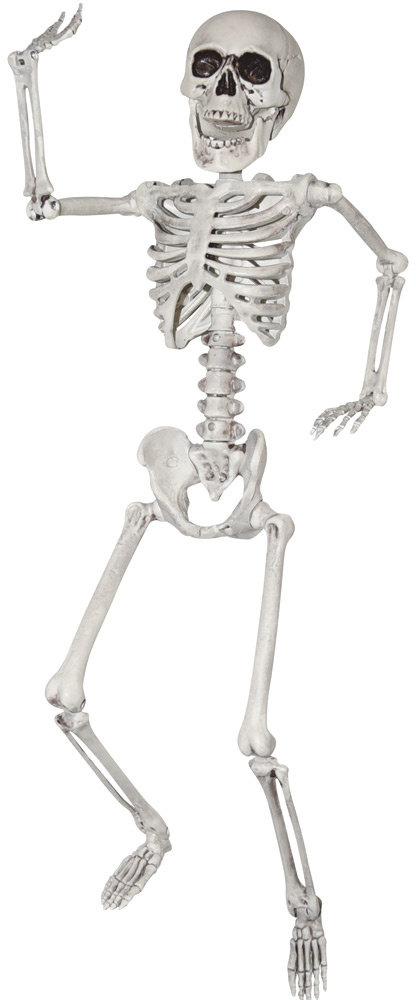 Ss79170 24 In. Skeleton Prop