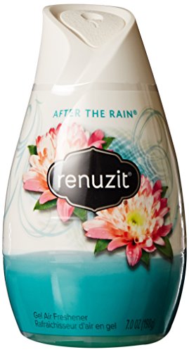 3184021 Renuzit Adjustables Air Freshener, After The Rain, 7.5 Oz