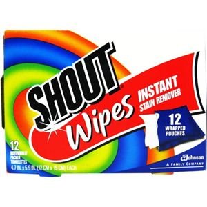 3745708 Shout Stain Remover Wipes, 12 Count