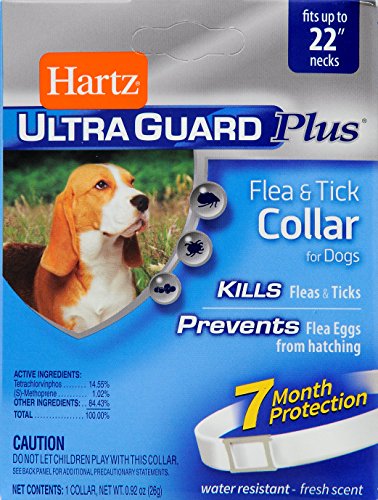 50449351 Hartz Flea & Tick Collar Dog