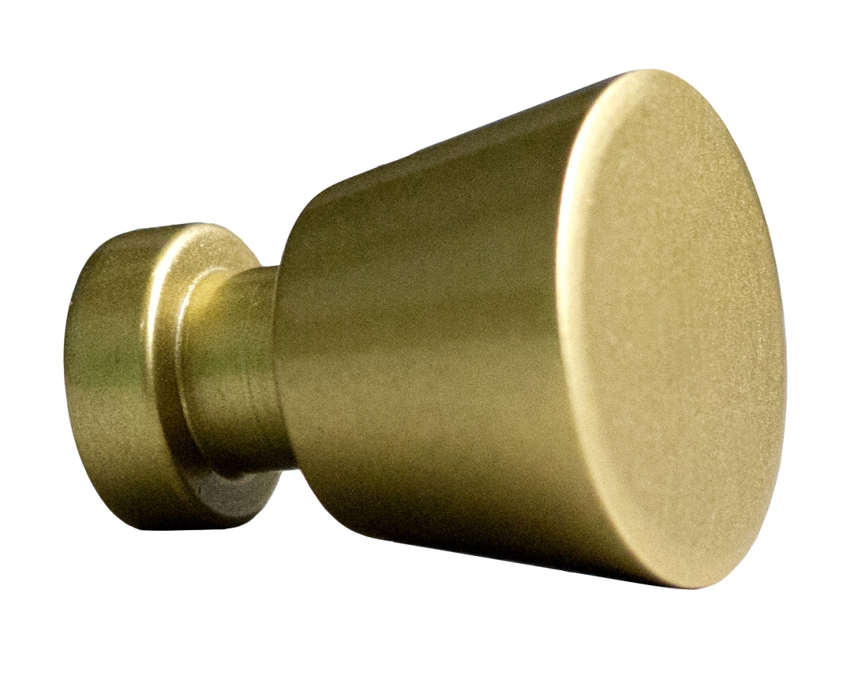 Ai-22089 1 In. Roxy Series Round Stainless Steel Cabinet Knob, Gold