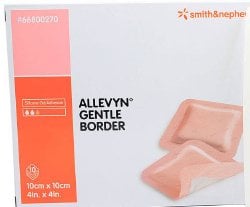 Allevyn Gentle Border Adhesive Dressings 10cm X 10cm (x10) 66800270