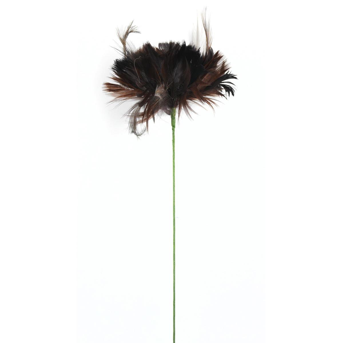 49196 21 In. Chocolate Open Tulip With Hackle - 4 Piece