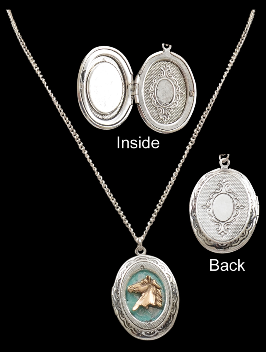 Dn0660 Silver Locket Style Necklace With Go Locket