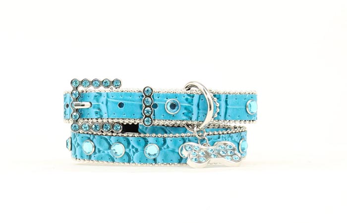9300433-xs Bling Gaitor Print Dog Collar, Turquoise - Extra Small