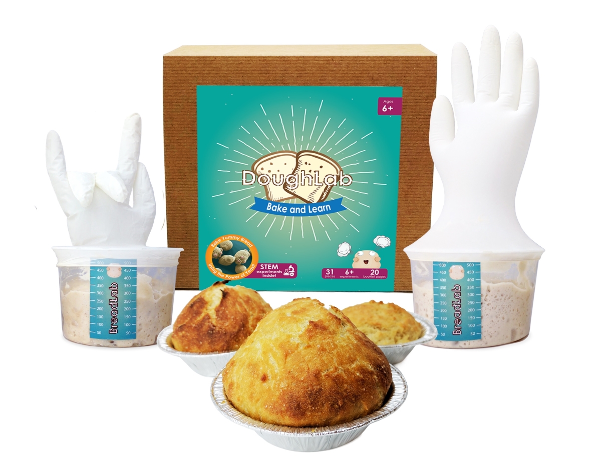 208108 Doughlab - Bake & Learn - Single Kit, 3 Loaves