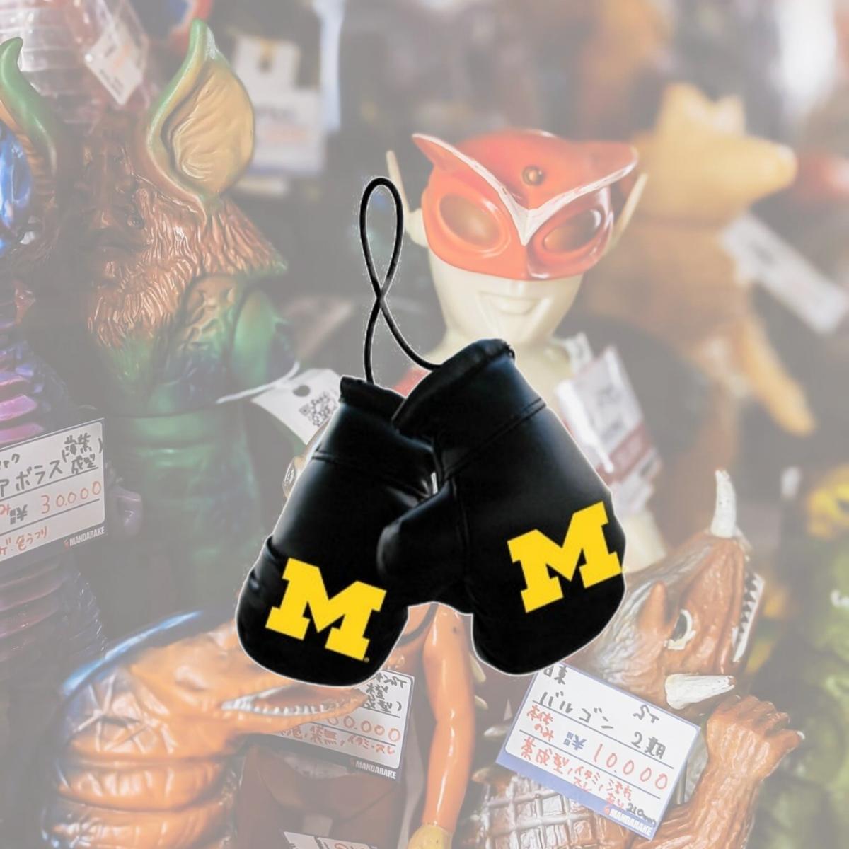 Picture of Fremont Die Consumer Products F57340 Mini Gloves - Michigan