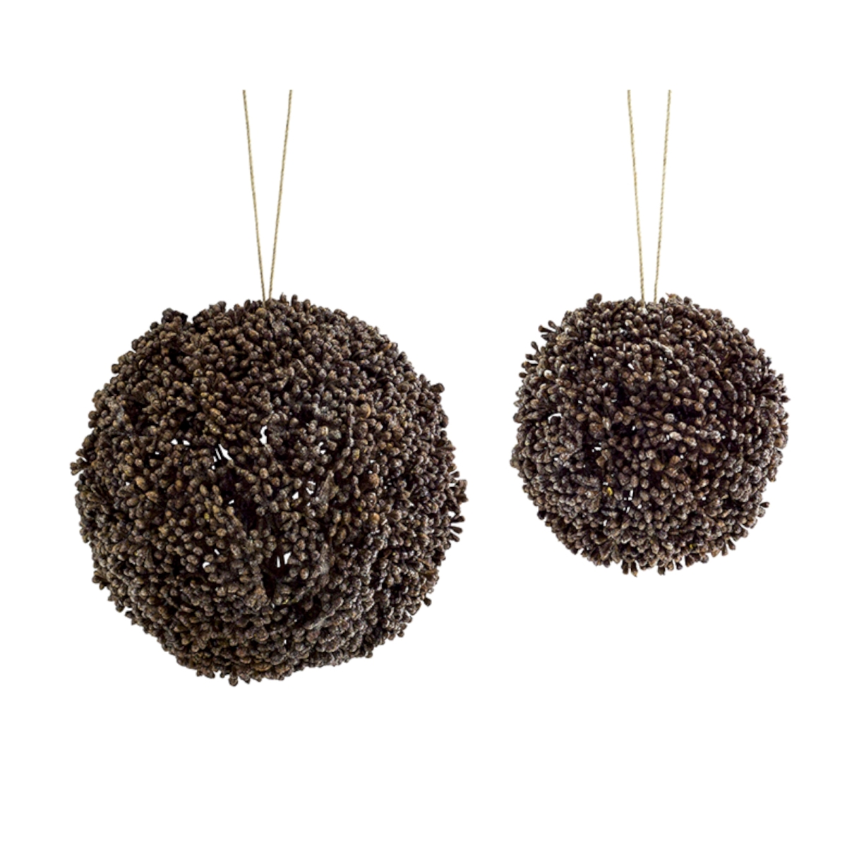 72950ds 5-6.5 In. Plastic Seeded Ornament, Brown - Set Of 8