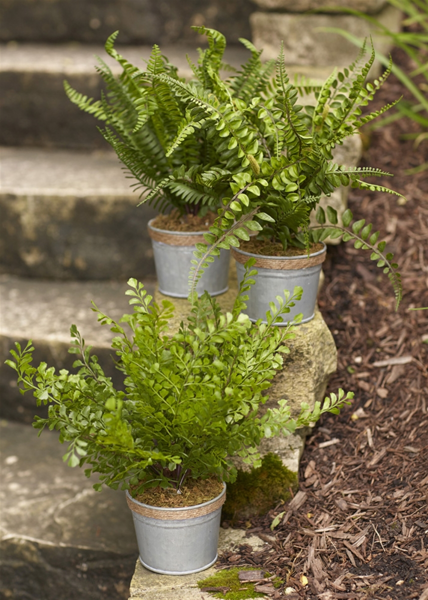 UPC 746427665988 product image for 66598DS 14.5 in. Plastic & Tin Potted Fern, Green & Gray - Set of 3 | upcitemdb.com